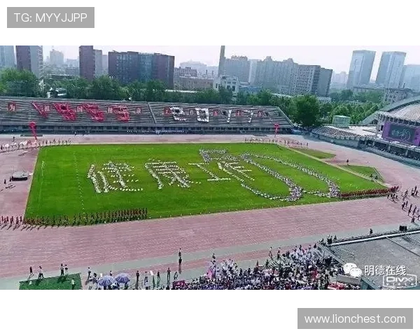 最全的星空体育在线平台下载使用技巧，教你高效利用各种功能