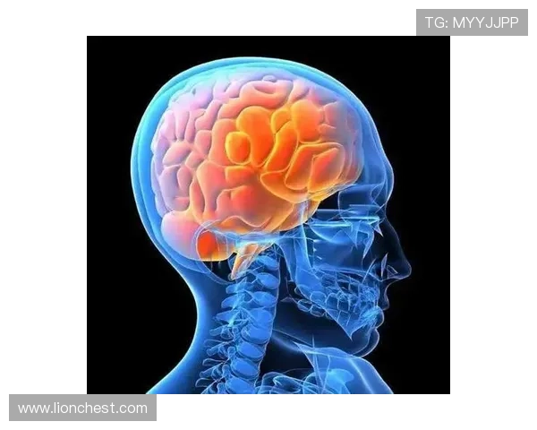 星空体育来切：探索夜空中的运动新体验，点亮你的运动生活新方式