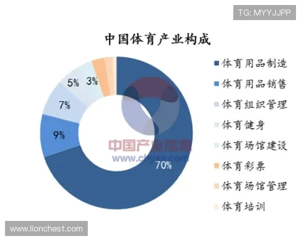 AB体育在体育产业中的创新发展与未来发展前景详解 AB体育在体育产业中的创新发展与未来发展前景详解