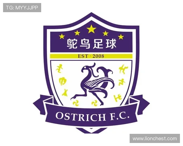 中欧体育买球网:专业可靠的国际足球投注平台推荐 中欧体育买球网:专业可靠的国际足球投注平台推荐