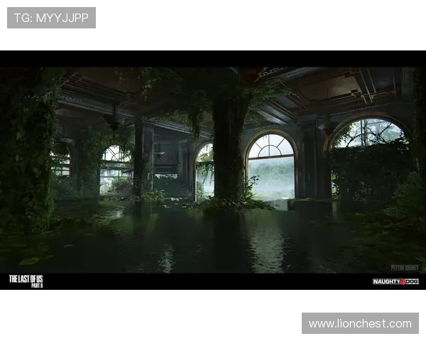 星空在线登录app登录成功后可以进行哪些精彩操作